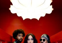 Artist Spotlight On The Marina Effect